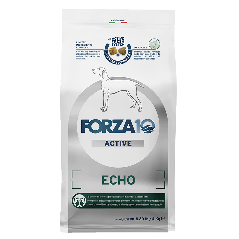 ECHO Active エコー アクティブ