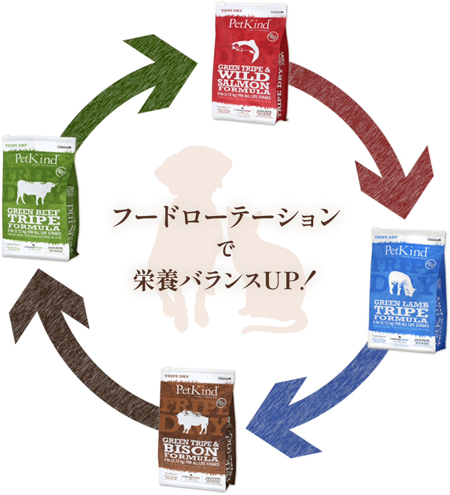 フードローテーションで栄養バランスUP!